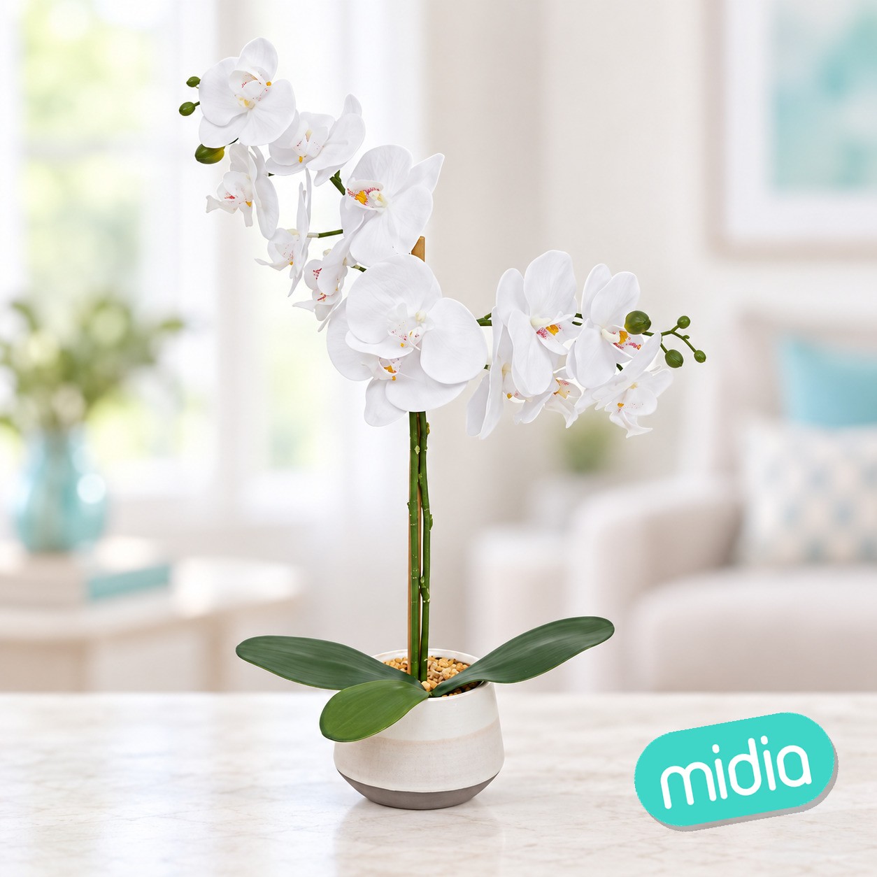 Orquídea Clera con maceta cerámica, 52 cm de alto