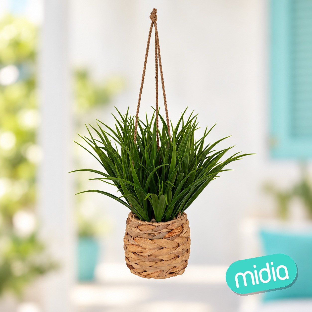 Plante susp herbe moda h27