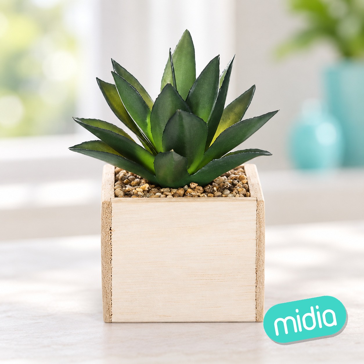 Planta verde Chic con maceta madera, 14 cm de alto