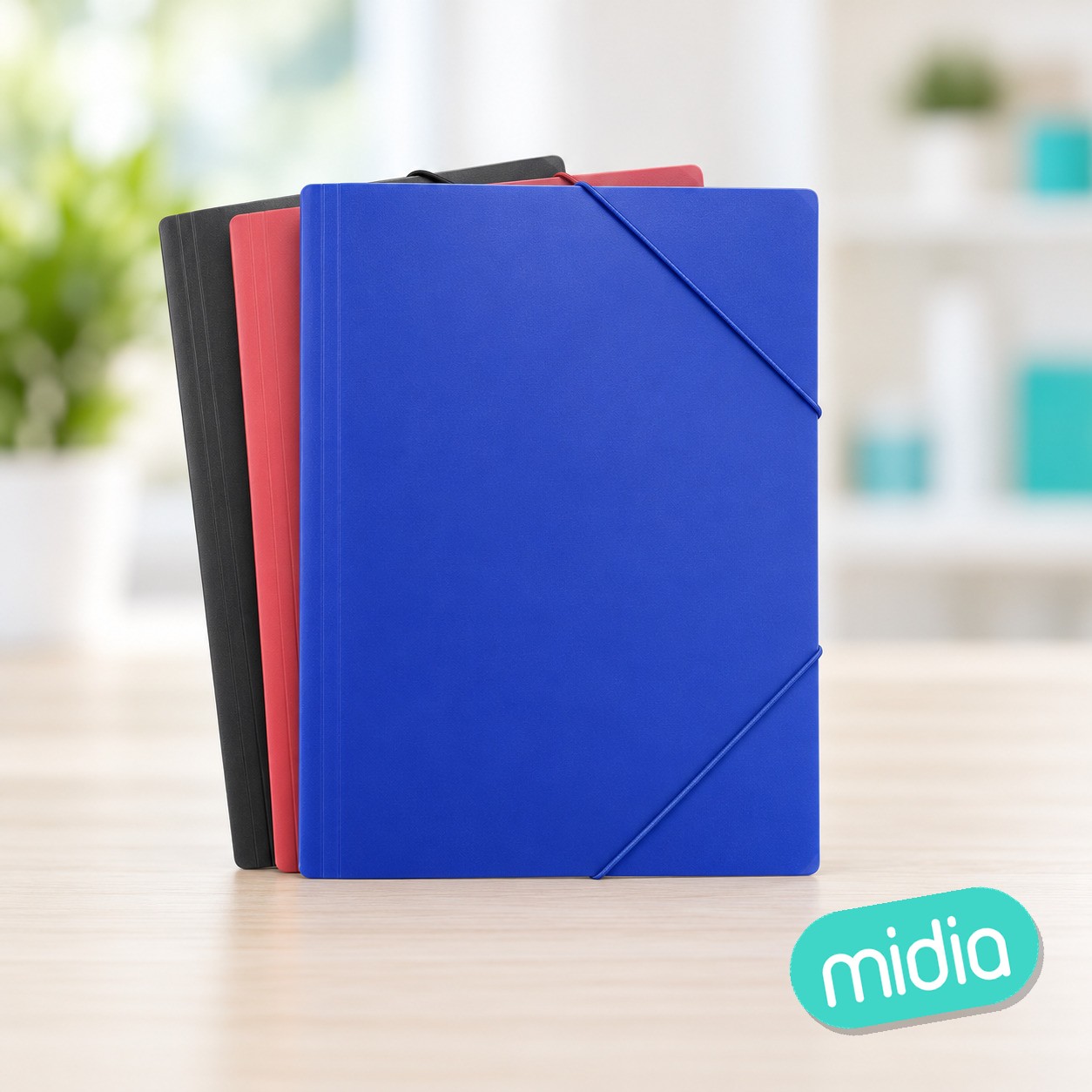 Carpeta con goma a4 3/l