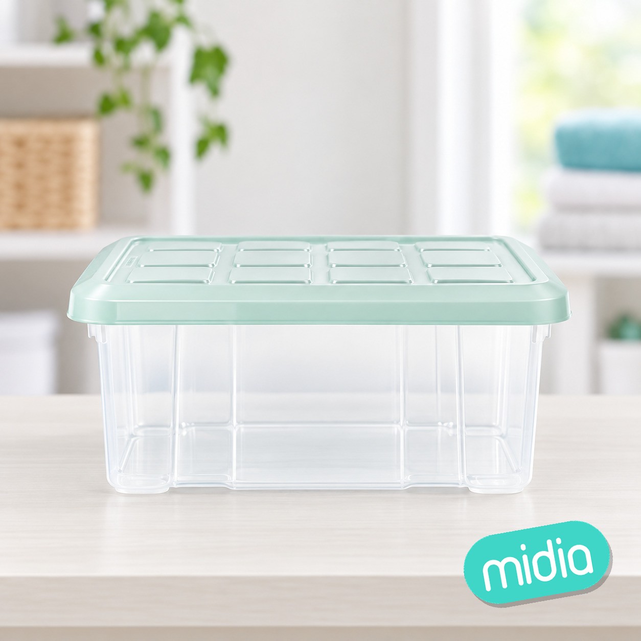 Caja n10 5l