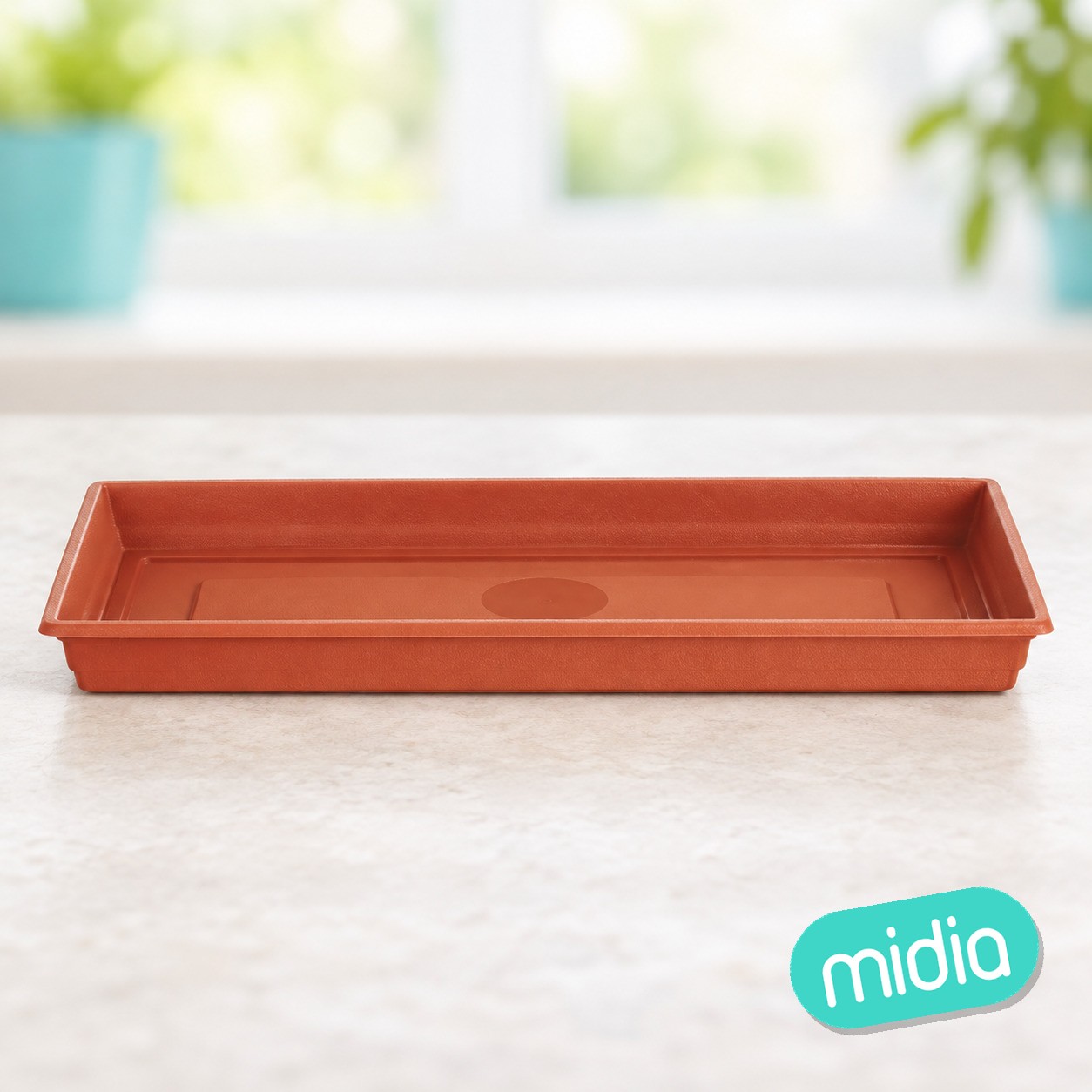 Plato lima rectangular 37 cm.