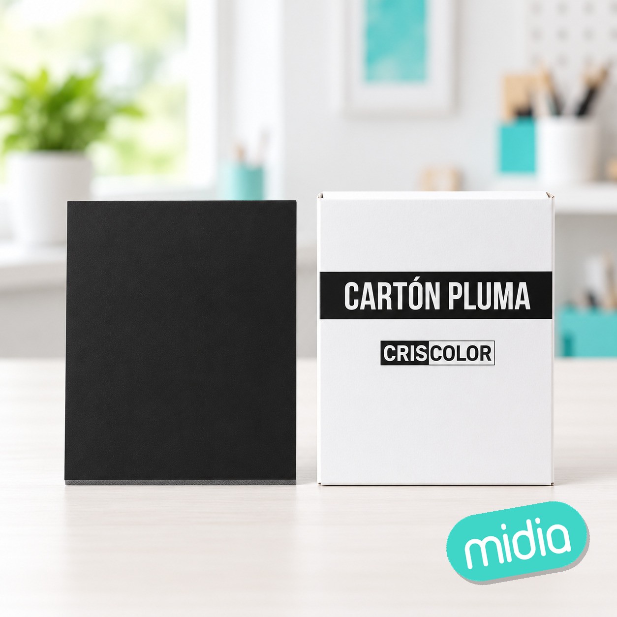 [40224] carton pluma 50x70cm negro