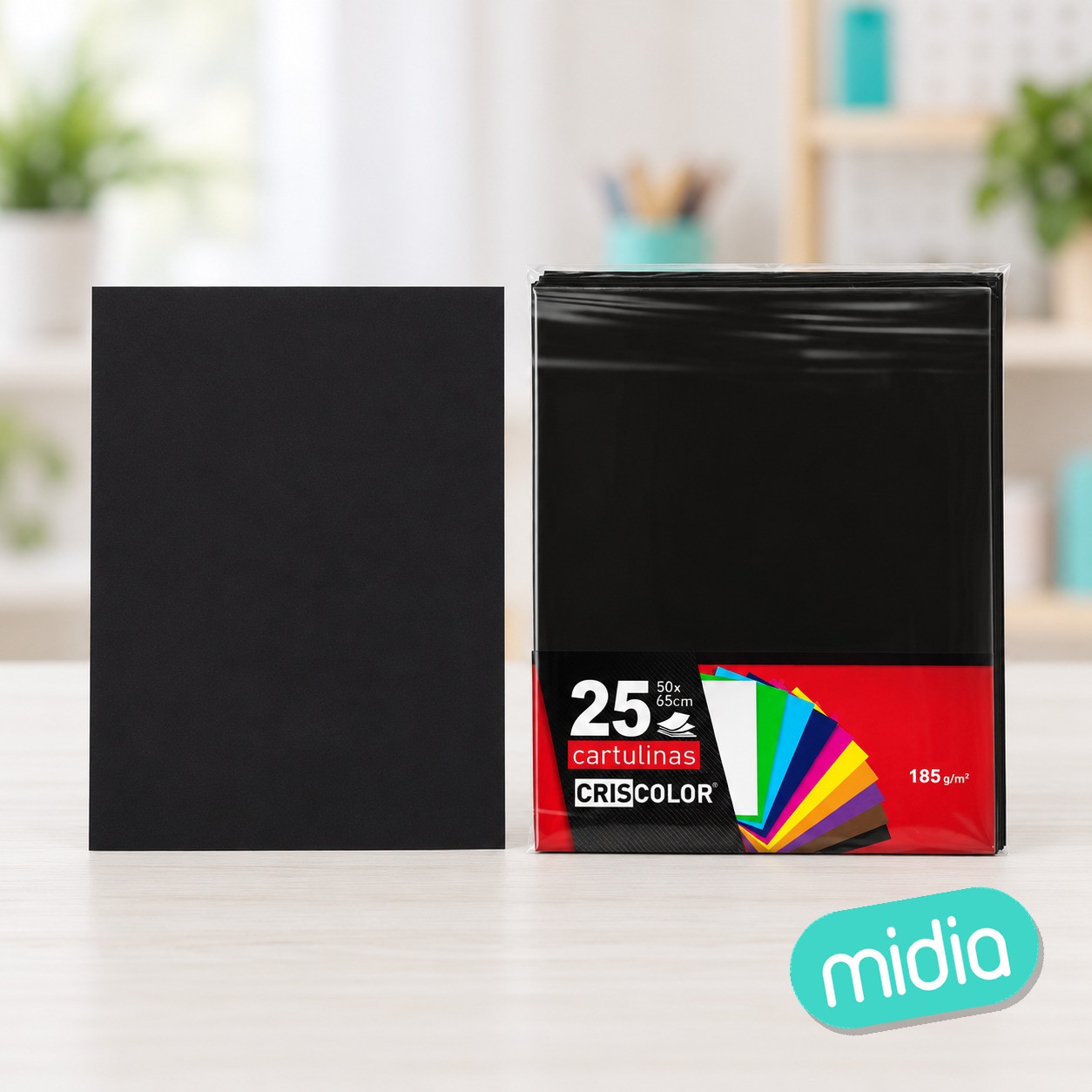 Cartulina 50x65 negro