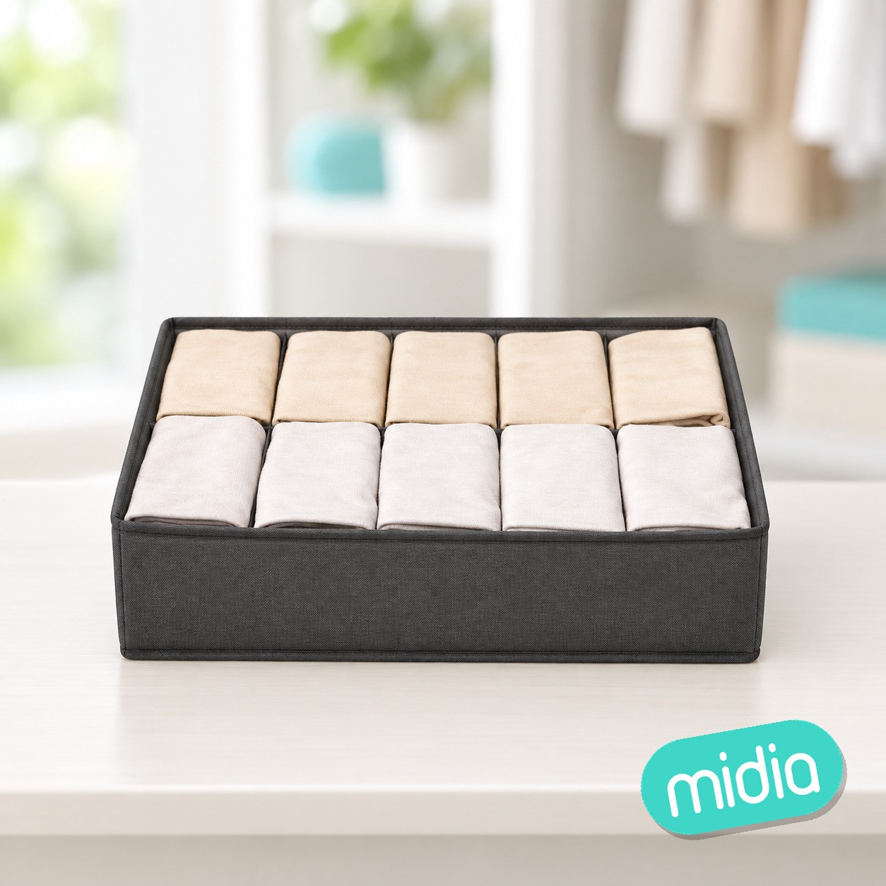 Organizador