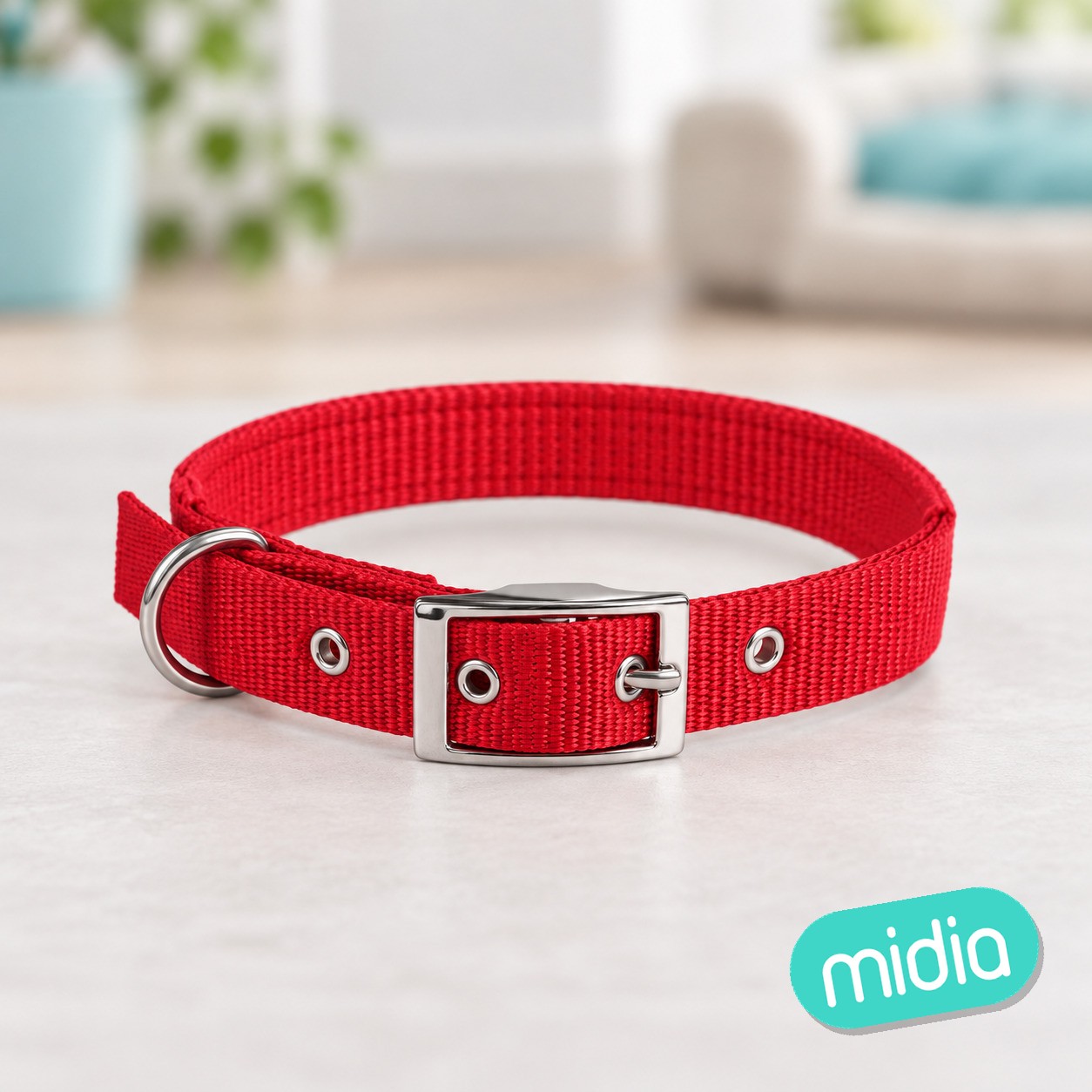 Collar de espuma sólida